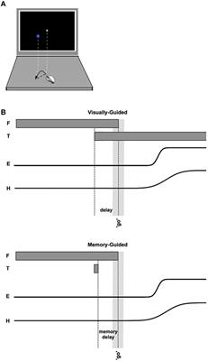 Eye Control Deficits Coupled to Hand Control Deficits: Eye–Hand Incoordination in Chronic Cerebral Injury